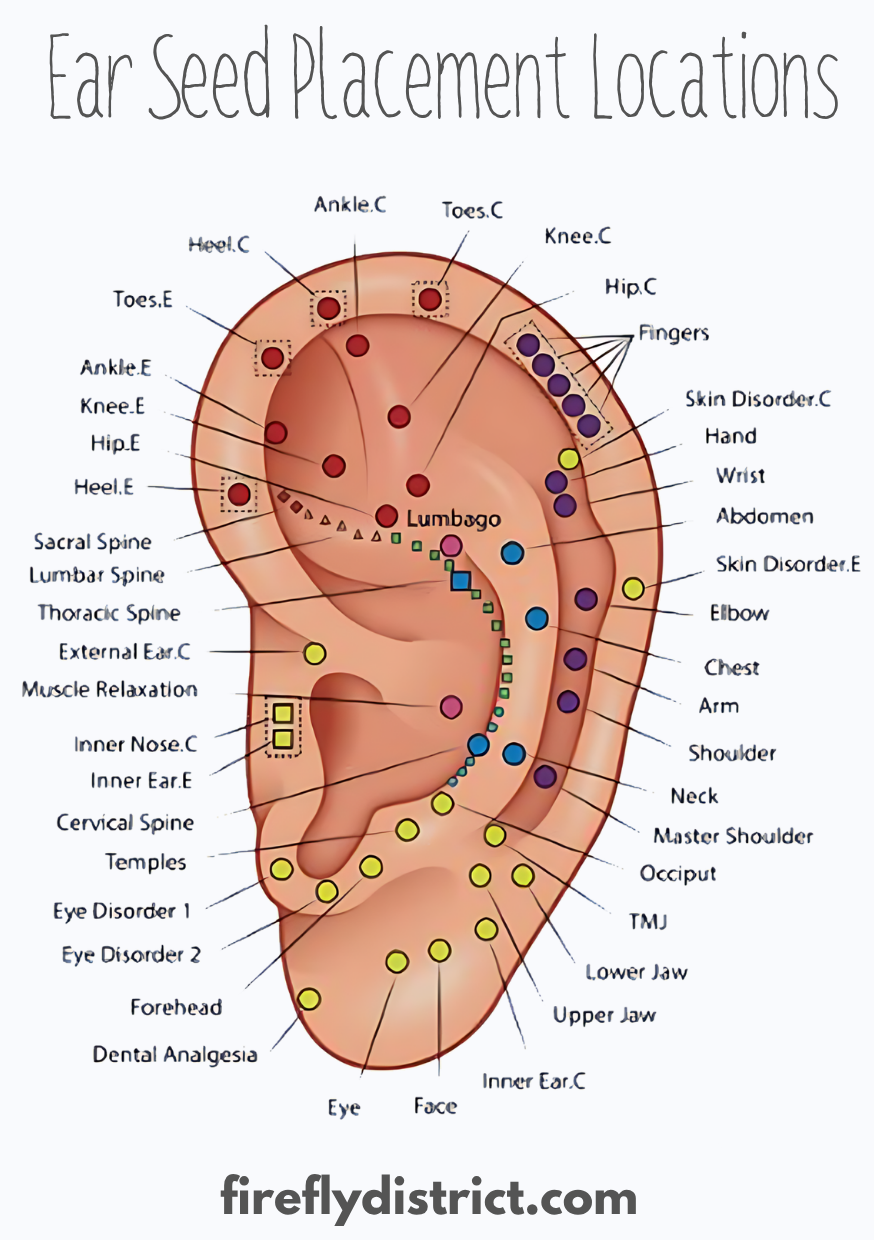 Gold Ear Seeds, Acupressure Ear Seed Pack, Tiny Gold Ear Seeds for Insomnia, Pain Relief, acupressure, anxiety relief, stress relief The Funky Bird - {{mens earrings}}
